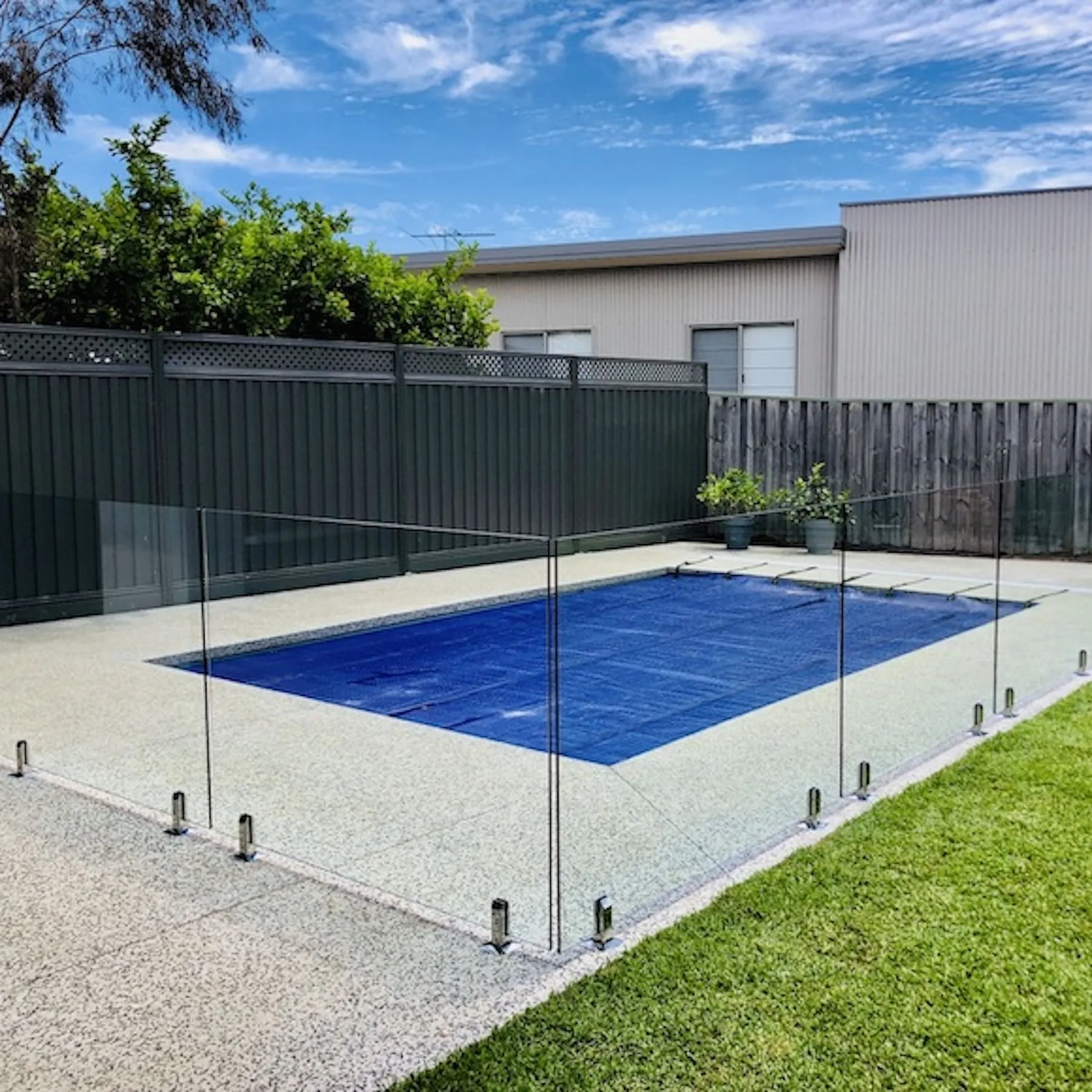 Frameless glass pool fence with a timber fence backdrop